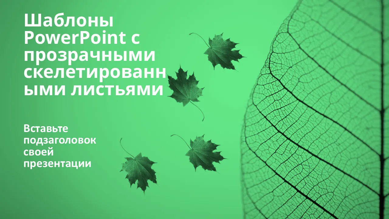 Прозрачные скелетные листья Шаблоны PowerPoint для бизнес-презентаций